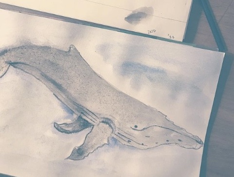 A monochromatic water color of a humpback whale on a sheet of paper. 